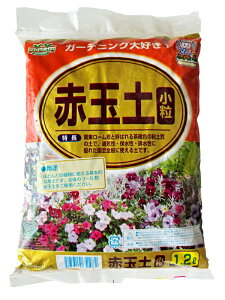 ԋʓy 1.2L [| py 엿]