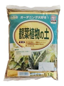 ϗtA̓y 1.2L[|{y g؂V[Y]