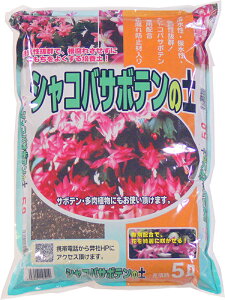 VRoT{e̓y@5L yK[fjOz