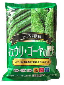 �L���E���E�S�[���̔엿�@500g�@�i���|�엿�@�ƒ�؉��@��p�엿�j