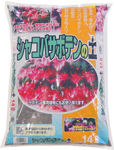 VRoT{e̓y@14L yK[fjOz