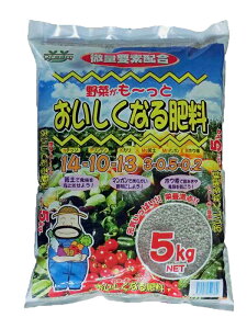 ʗvf z؂ƂȂ엿5kg@14-10-13@Mg3-Mn0.5-B0.2yK[fjO엿@|엿@؂̔엿@ƒ؉엿z