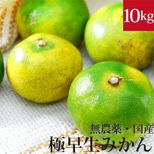 みかん10kgの通販 価格比較 価格 Com みかん10kgの通販 価格比較 価格 Com
