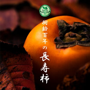 ` Ɗ` Mtgp p R͔| _E엿sgp tY/E唠Iт