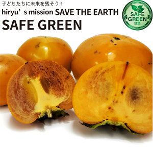 ` 500g _E엿sgp tY i(xL`܂̑)