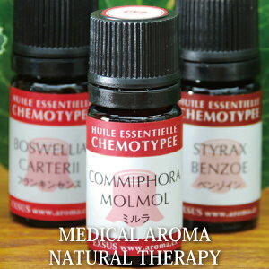 yOUTLETz~ GbZVIC 5mlyfBJA} P^CvvƂĂ΂_IȖ̍z