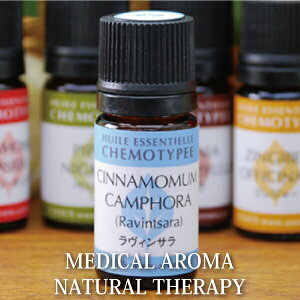 yOUTLETzBT GbZVIC 5ml (100H)yfBJA} P^Cv̂邷ƂŁASg̔Ăz