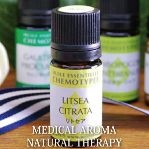 gZA GbZVIC 5mlyfBJA} P^CvJTȋCYꂽɁz