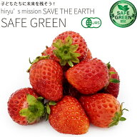 いちご 約250g （1パック） 化学農薬・化学肥料不使用 京都府産 有機JAS認証
