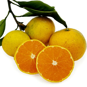 B݂ ~J w_Ew엿sgp QY