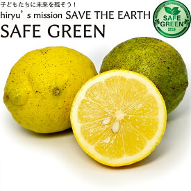 瀬戸内レモン 3kg 農薬・化学肥料不使用栽培 広島産