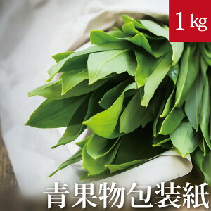 ʕ 1kg(50) 0.06mm @54.4cm x 81.0cm V(n)CNsgp