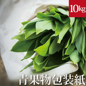 ʕ 10kg(500) 0.06mm @54.4cm x 81.0cm V(n)CNsgp