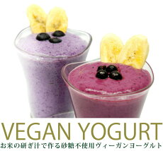 【POINT20倍】kuvingsクビンスヨーグルト&チーズメーカーKGY-713SM