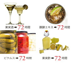 【POINT20倍】kuvingsクビンスヨーグルト&チーズメーカーKGY-713SM