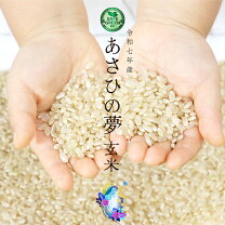 楽天市場】あさひの夢 栃木県産の通販