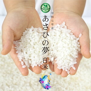 あさひの夢 米」の人気商品一覧・価格比較 - 価格.com