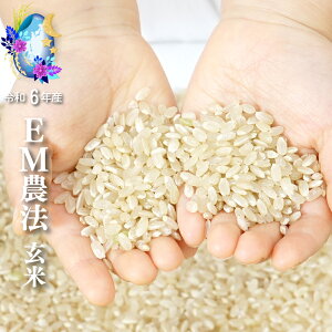 EM_@̌ Ђ̖ ߘa6NY w_Ew엿sgp QnY 茟