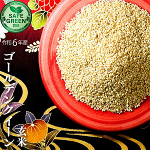  S[fNC[ ߘa6NY w_Ew엿sgp ؍Y SAFE GREENFؕ ؍L@Fؕ