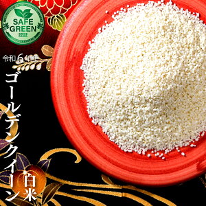  S[fNC[ ߘa6NY w_Ew엿sgp ؍Y SAFE GREENFؕ ؍L@Fؕ