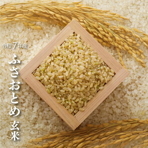  ӂƂ ߘa7NY V w_Ew엿sgp tY 茟