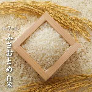  ӂƂ ߘa7NY V w_Ew엿sgp tY 茟 