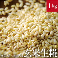 玄米麹 1kg 無農薬 自然栽培 甘酒づくりに こめこうじ 米こうじ 玄米甘酒 塩麹 糀 マルカワみそ