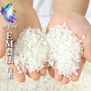 EM_@̔ Ђ̖ ߘa6NY w_Ew엿sgp QnY 茟 