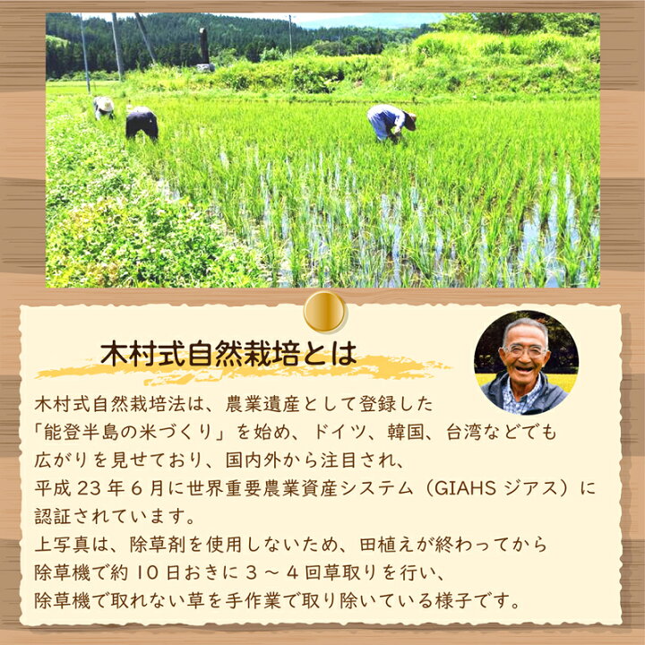楽天市場】自然栽培の白米 まっしぐら 令和7年産 農薬・肥料不使用 