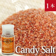 Candy Salt キャンディソルト ボトル35gヒマラヤ岩塩 還元力とミネラル豊富な食用塩ビオソルト