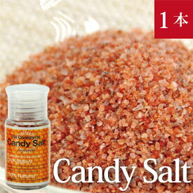 Candy Salt キャンディソルト ボトル35gヒマラヤ岩塩 還元力とミネラル豊富な食用塩