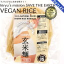 【OUTLET】玄米麺 中麺 化学農薬不使用玄米で作ったお米の麺 半生パスタ GI値35