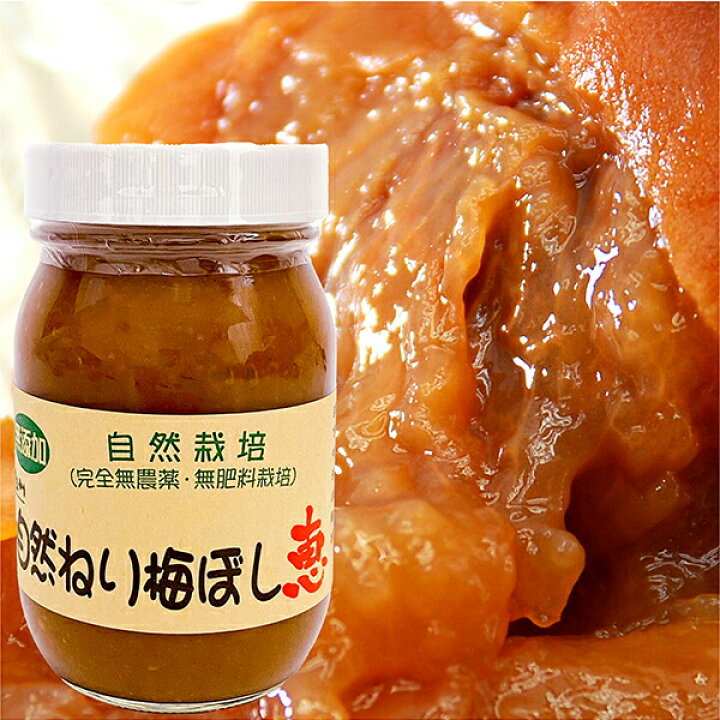 楽天市場】紀州自然ねり梅 農薬・肥料不使用 和歌山県産 : HIRYU