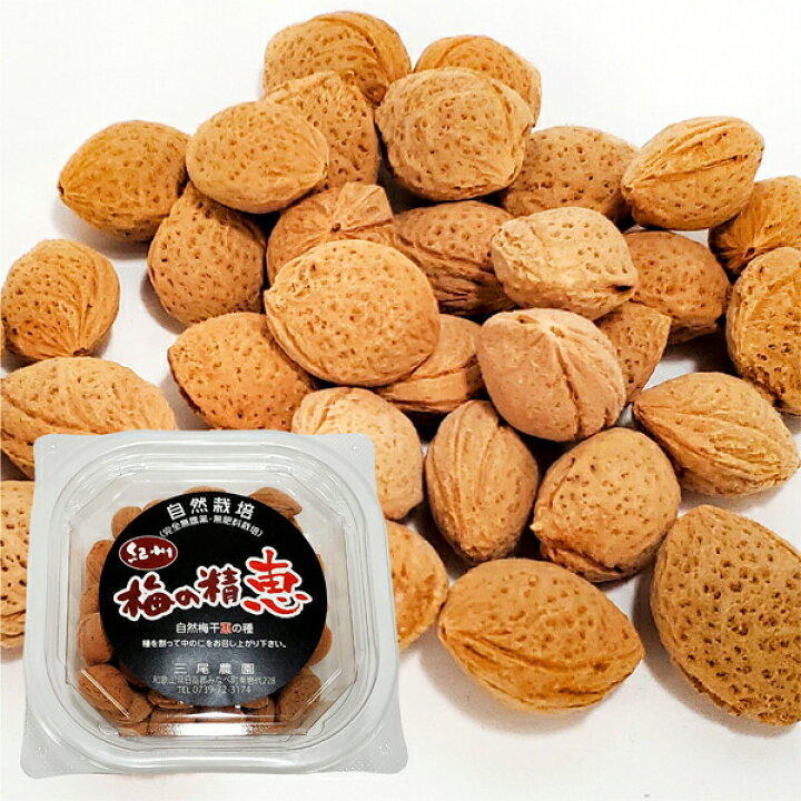 楽天市場】紀州自然梅の精 恵 梅の種 仁 140g 農薬・肥料不使用 自然 