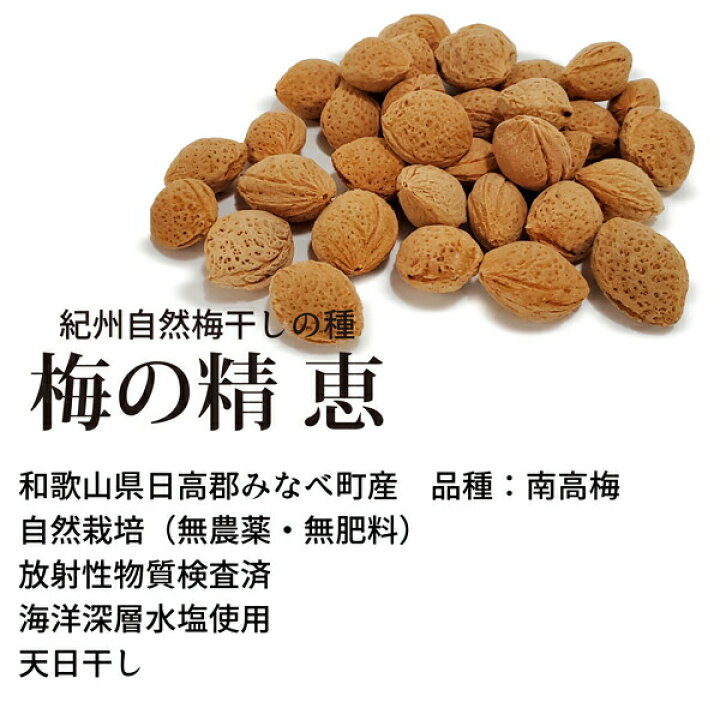 楽天市場】紀州自然梅の精 恵 梅の種 仁 140g 農薬・肥料不使用 自然 