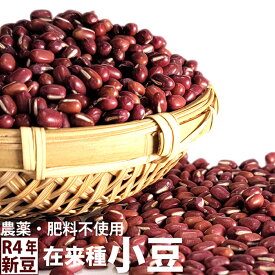 [新豆]在来種小豆 小粒 自然栽培(無農薬・無肥料) 香川県産