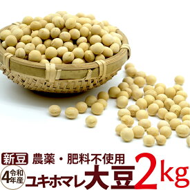 【新豆】ユキホマレ大豆 2022年産 農薬・肥料不使用 北海道産