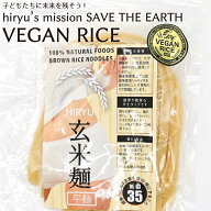 玄米麺 平麺 グルテンフリー 麺 米粉麺 無農薬玄米で作ったお米の麺 半生パスタ GI値35 無添加 VEGAN RIC…