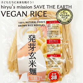 発芽玄米麺 平麺 無農薬玄米で作った お米の麺 半生パスタ【GI値38-低GI食品】【グルテンフリー パスタ アレルギー対応食品】