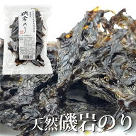 天然磯岩のり 海苔 15g 青森県産