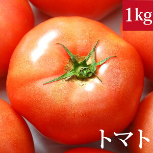 野菜 1kg トマトの人気商品 通販 価格比較 価格 Com 野菜 1kg トマトの人気商品 通販 価格比較 価格 Com