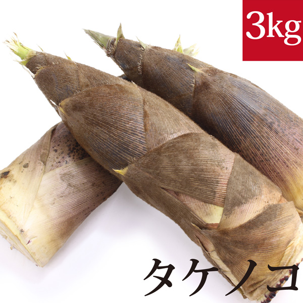 孟宗竹 タケノコ 3kg 自然栽培(無農薬・無肥料) 千葉県産