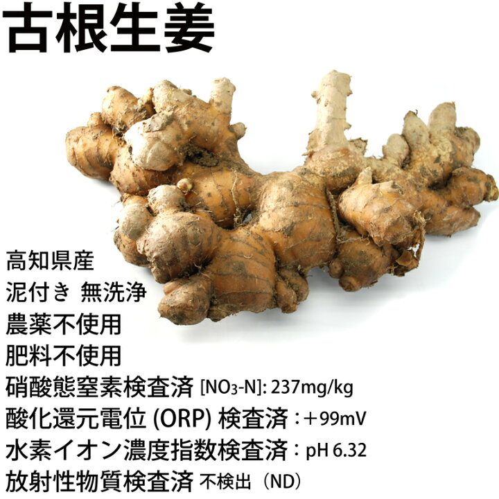 楽天市場】生姜 古根生姜 農薬・肥料不使用 高知産 国産 ショウガ 