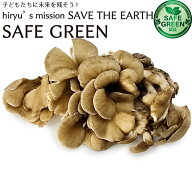 舞茸 約100g農薬・肥料不使用 新潟県産