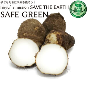 �D�t������ 500g ���w�_��E���w�엿�s�g�p ��t���Y �T�g�C�� ���Ƃ��� ���z�_��