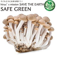 【スーパーSALE期間限定10%OFF！】ブナシメジ 100g農薬・化学肥料不使用 長野産