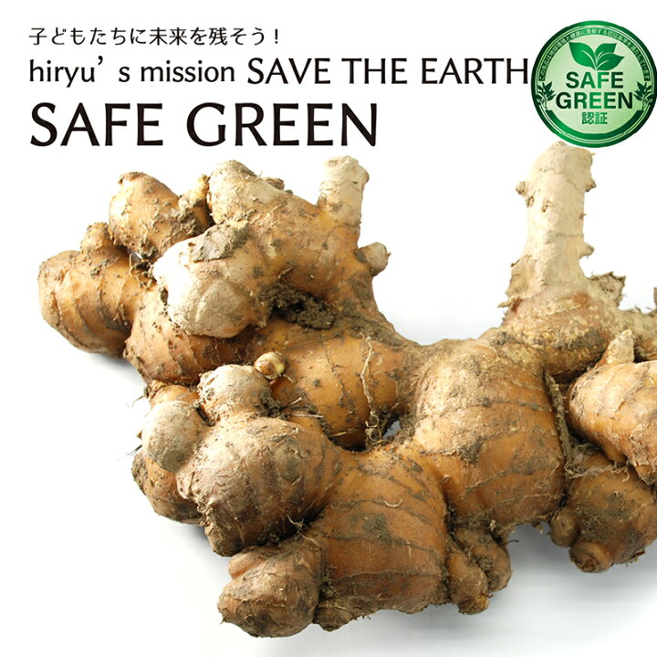 楽天市場】生姜 古根生姜 農薬・肥料不使用 高知産 国産 ショウガ 
