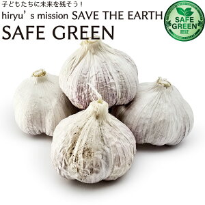 f jjN ɂɂ w_Ew엿sgp mY RY 