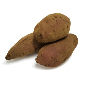 Tc}C g͂邩 w_Ew엿sgp tY