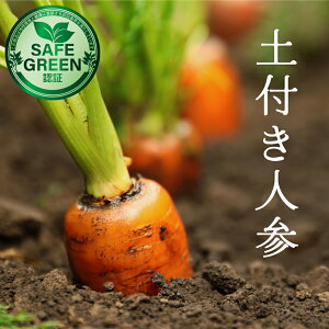 �y�t���l�Q���w�_��E���w�엿�s�g�p ��t���Y